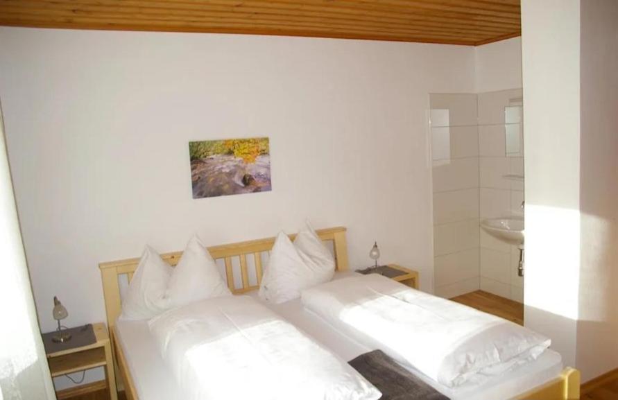 Haus Brigitte Rettensteiner Schladming Zewnętrze zdjęcie